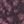Wine, color 1 of 1