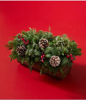 Yule Log Centerpiece, New