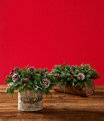 Yule Log Centerpiece, One Color, small image number 3