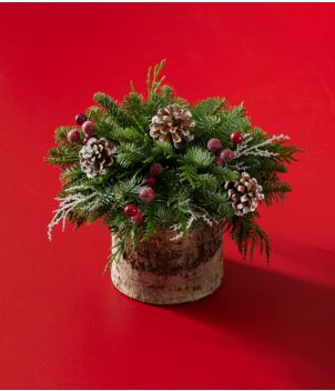 Birch Centerpiece, New