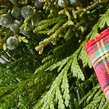 Tartan Centerpiece, Delay Ship 12/7, One Color, swatch