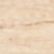 Oak Wood/Hedge