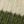 Mountain Pine/Dark Stone, color 6 of 7