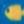 Cobalt Shark Bait/RC36, color 1 of 3
