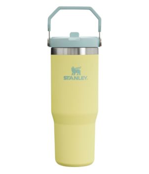 Stanley IceFlow Flip Straw Tumbler, 30 oz.