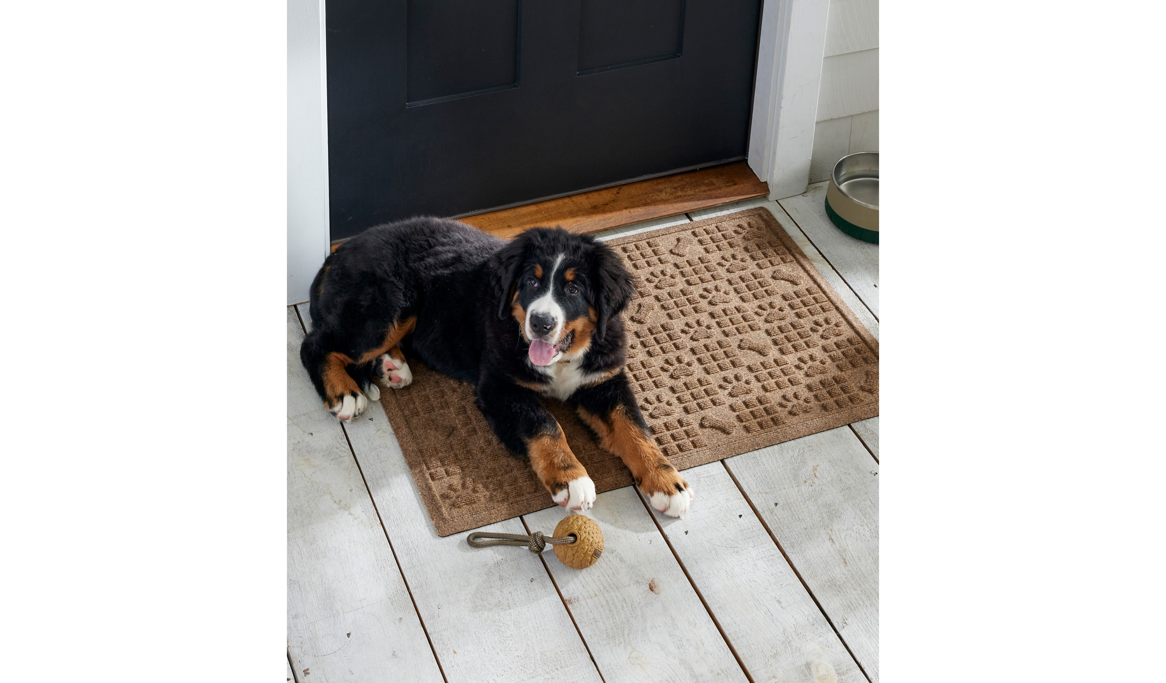 Waterhog Dog Bones and Paws Mat