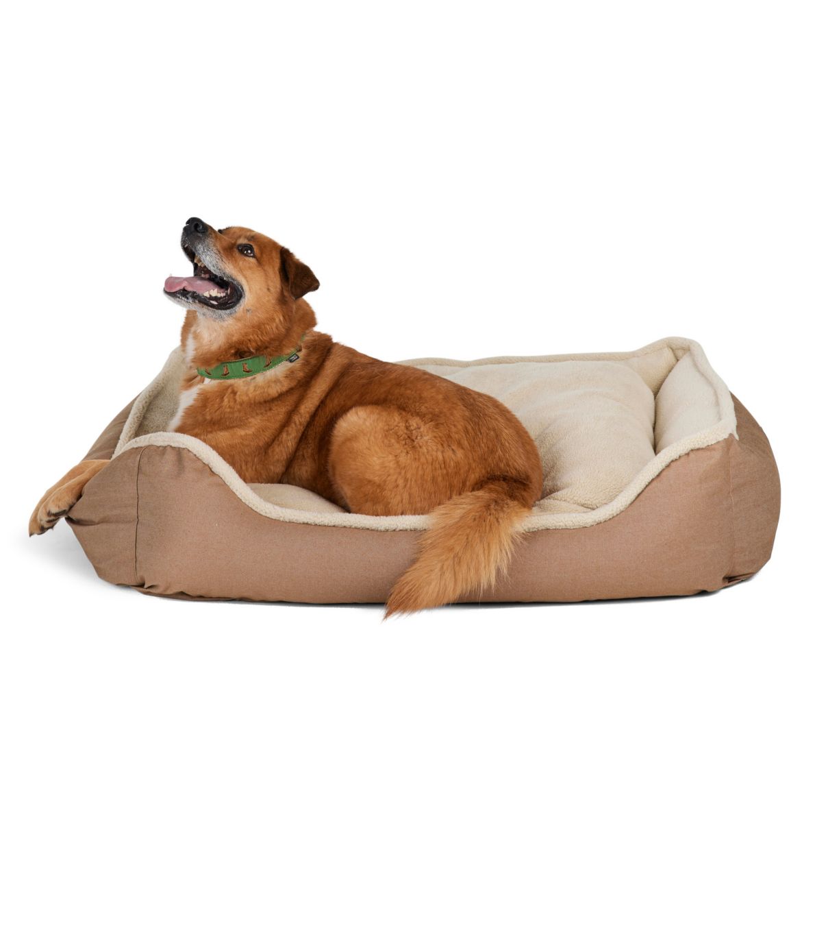 Premium Cuddler Dog Bed