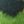 Deep Green Landscape, color 1 of 1