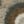 Neutral Coins, color 3 of 4