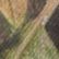Mossy Oak Country DNA