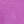 Wild Aster, color 1 of 4