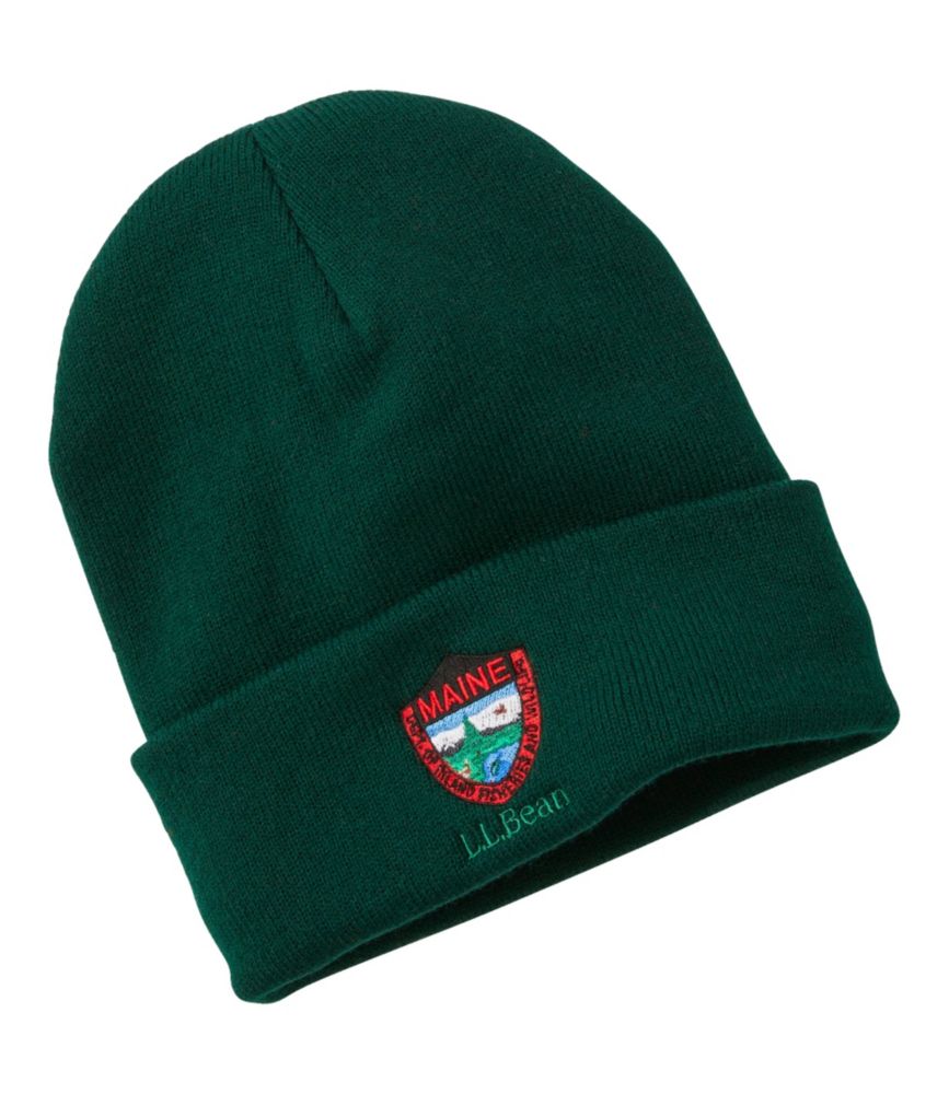 Adults' Maine Inland Fisheries and Wildlife Beanie, Forest Green, small image number 1