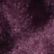 Fig, color 2 of 3