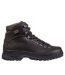 Color Option: Dark Brown, $249