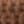 Warm Umber, color 1 of 5
