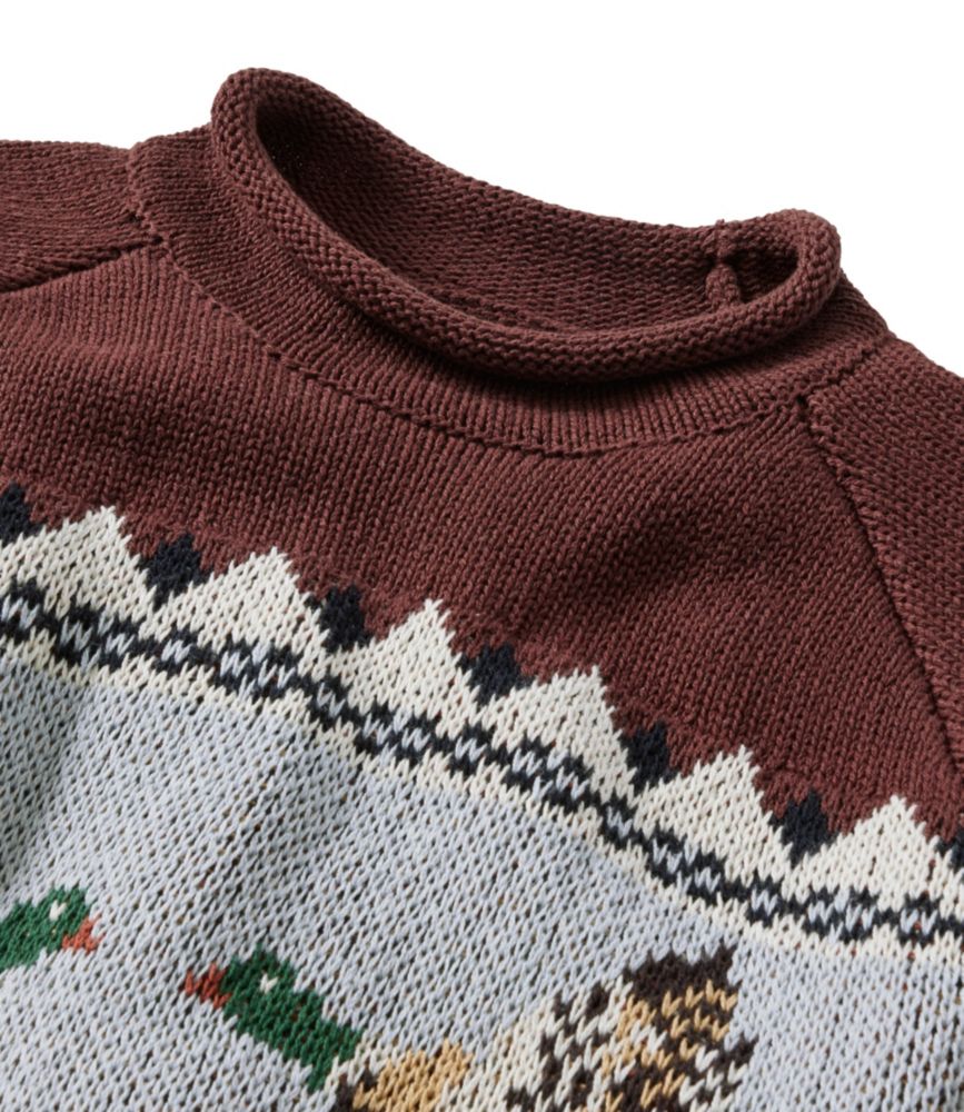 Men's Signature Organic Cotton Rollneck Sweater, Fair Isle