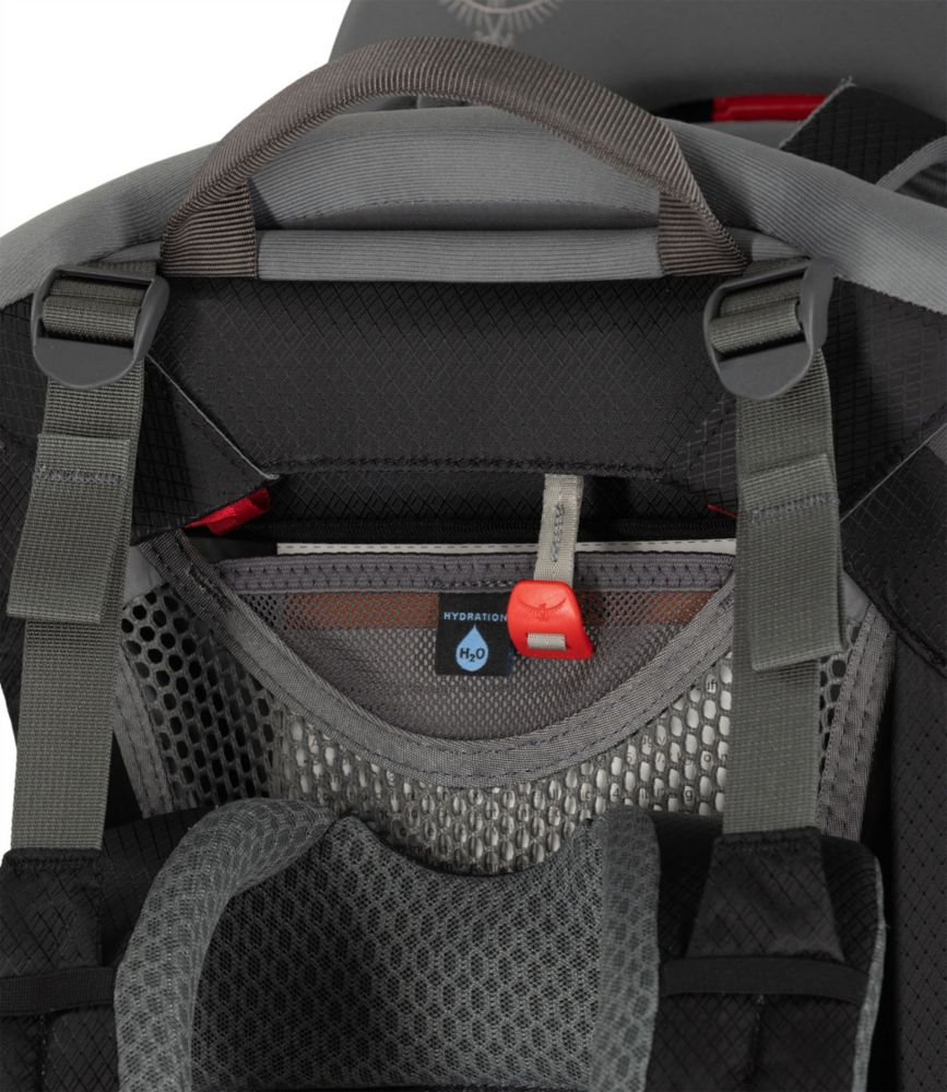 Osprey Poco Child Carrier Backpack