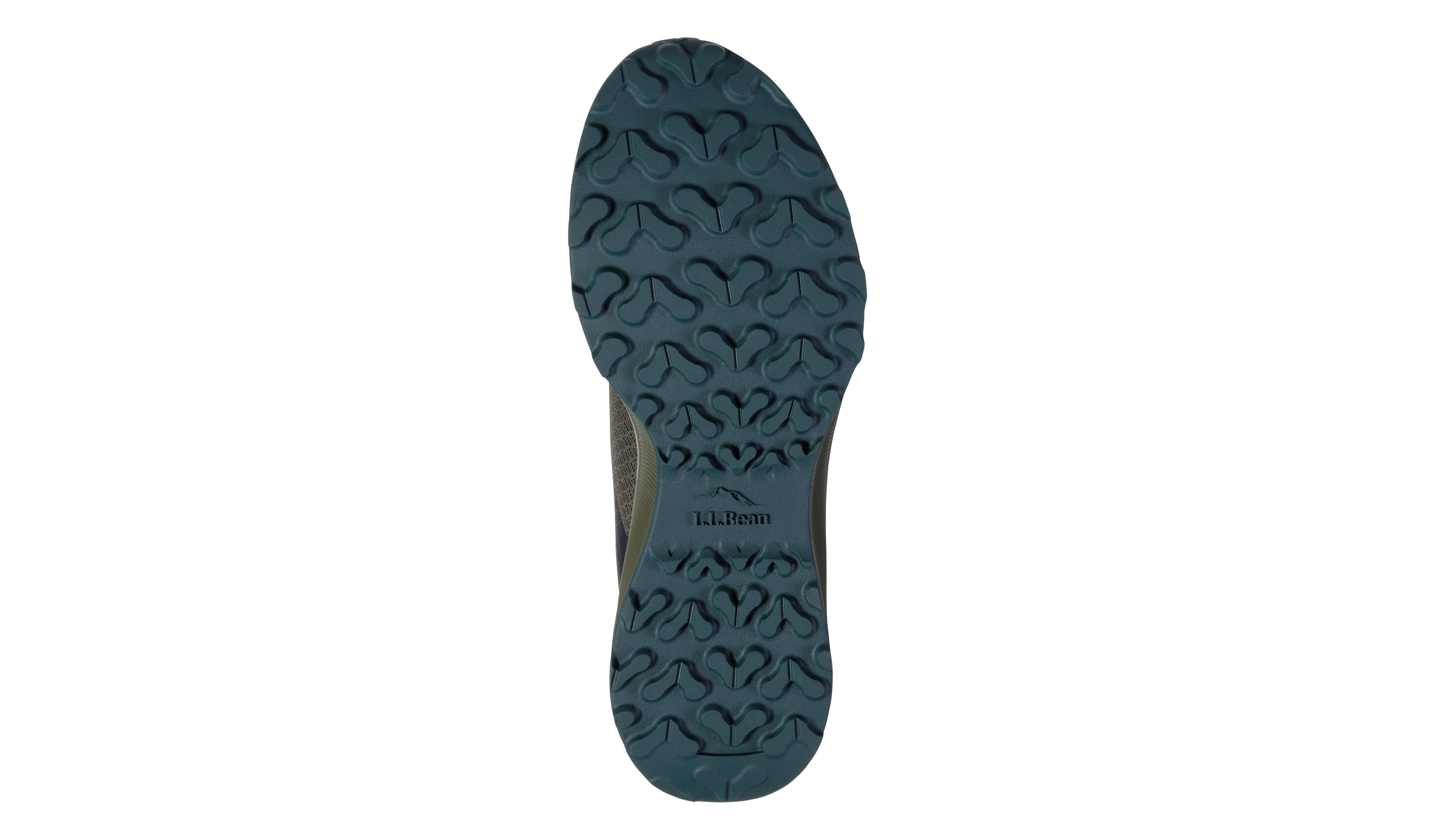 Women's Elevation H2O Shoes