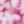 Luscious Pink, color 1 of 1