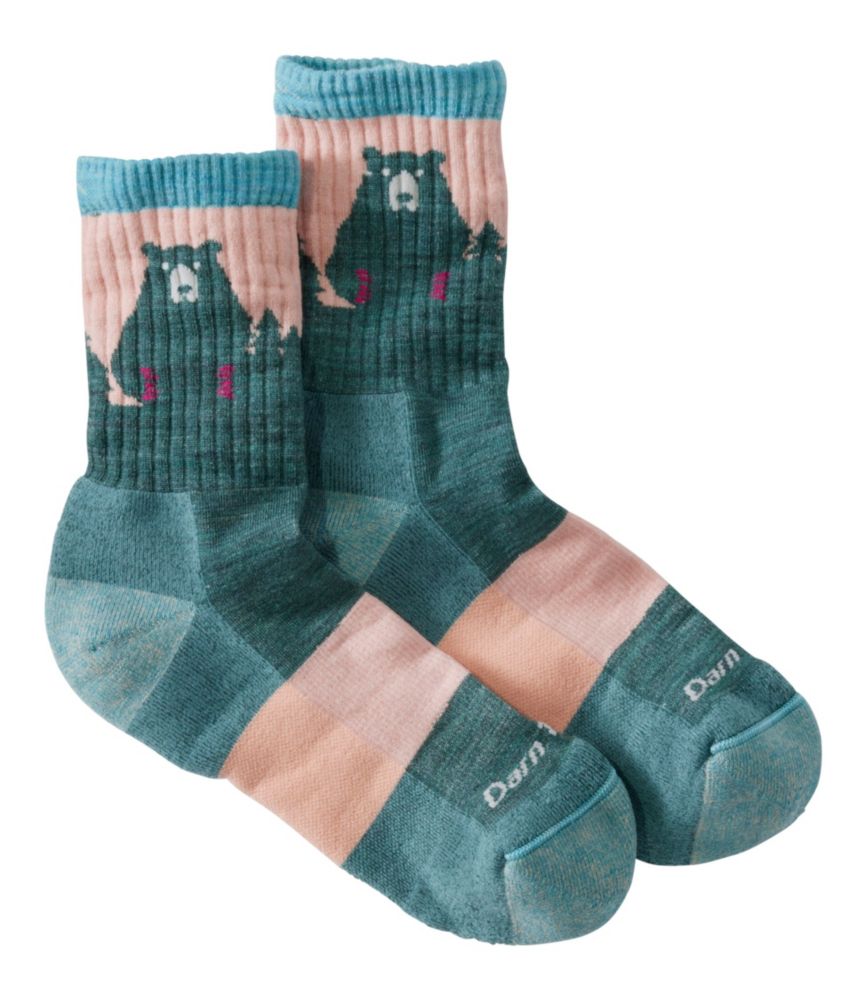 Women's Darn Tough Bear Town Micro Crew Hiking Sock