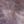 Lavender, color 2 of 2