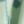 Lightest Mint Harbor, color 3 of 6