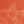 Orange Topo, color 1 of 1