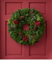 Woodland Canella Berry Wreath 24", One Color, small image number 1