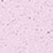 Cherry Blossom, color 5 of 5