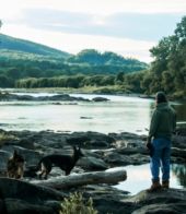 Additional View, view 8 of 8