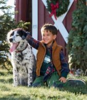 Additional View, view 11 of 11