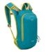 Color Option: Blue Spikemoss, $65