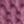 Muted Plum, color 4 of 4