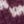 Deep Rosewood Fair Isle, color 1 of 3
