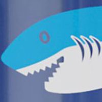 Sharks And Rays, color 2 of 4