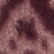 Fig Crest