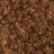 Nutmeg