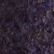 Eggplant