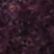 Fig