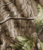 Detail, view 4 of 4