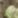 Mossy Oak Country Roots, color 1 of 1