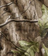 Detail, view 13 of 13