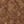 Nutmeg, color 2 of 5