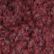 Red Chestnut