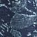Carbon Navy Botanical