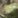Mossy Oak Country Roots, color 1 of 1