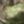 Mossy Oak Country Roots, color 1 of 1