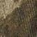 Mossy Oak Country Roots, color 1 of 1