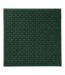  Color Option: Evergreen, $70.
