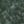 Evergreen, color 2 of 5